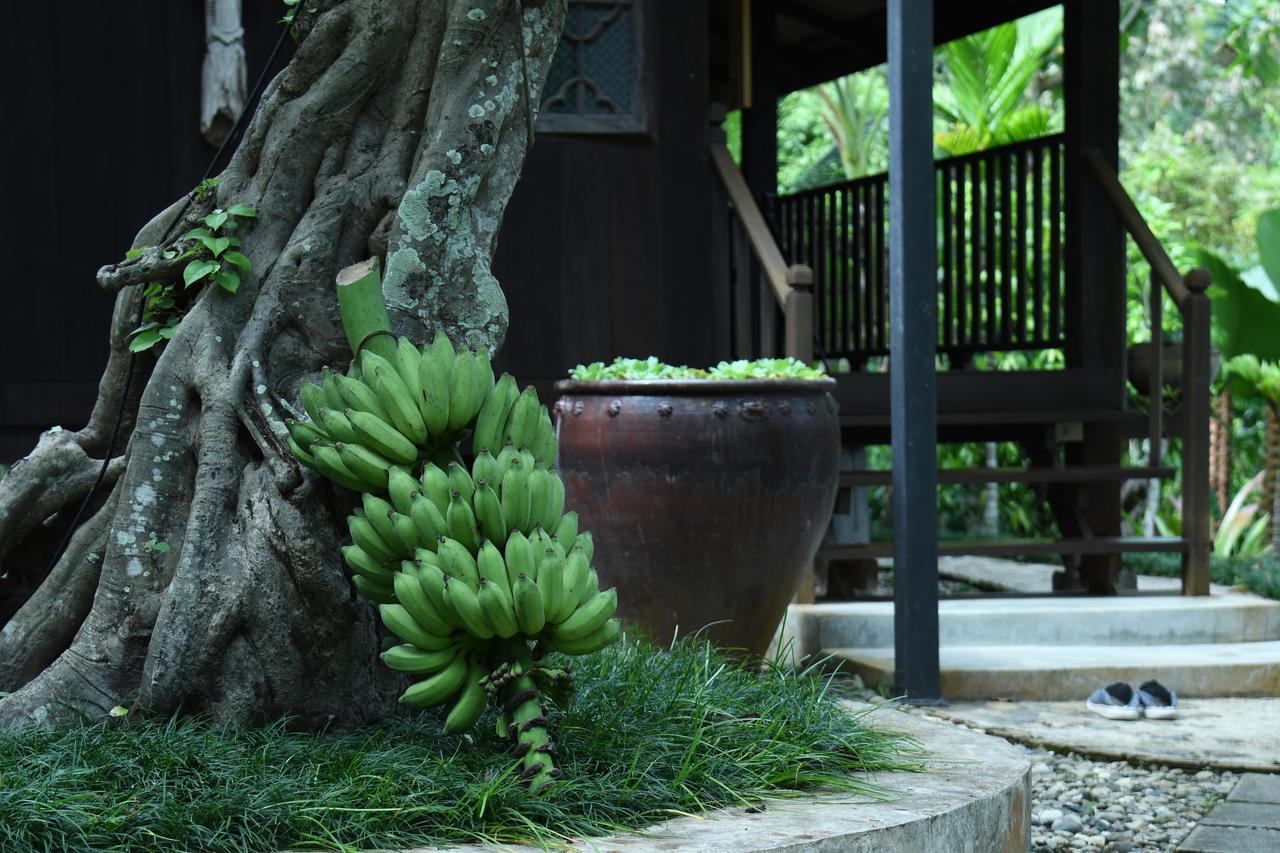 فيلا Mae Nai Gardens Ban Mae Mae المظهر الخارجي الصورة